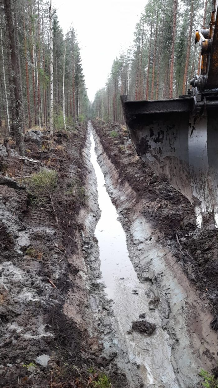 METSÄOJAA PYHÄJOELLA